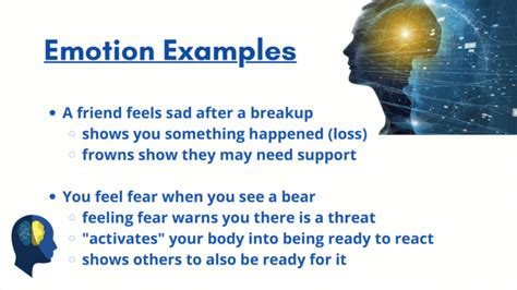 Image result for Emotion Examples