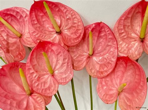 Image result for Testing and Debugging Approaches