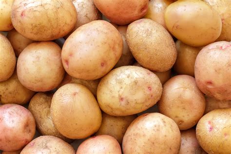 土豆的历史：正式名称叫“马铃薯”，早年间被欧洲人当成了花种-搜狐