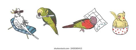 Image result for Python Eating Bird Sketch