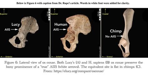Image result for Key Notes Example