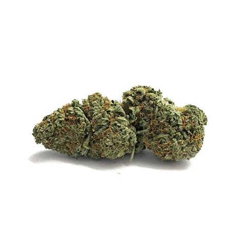 AK-47 Strain Full Review & Information | AskGrowers