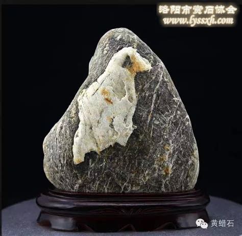 这种奇石的名字竟然是苏东坡命名的 - 华夏奇石网 - 洛阳市赏石协会官方网站