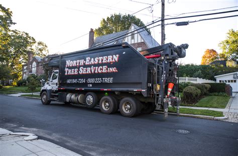 Northeastern Tree Service 的图像结果