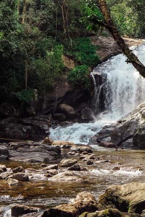 Munnar Trip Planners | Your Ultimate Munnar Travel Guide