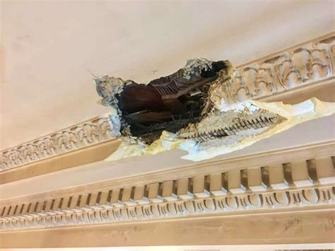 Patching Plaster 的图像结果