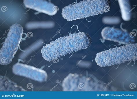 Enterobacterias Gram Negativas Proteobacteria, Bacteria Such As Salmonella, Escherichia Coli ...
