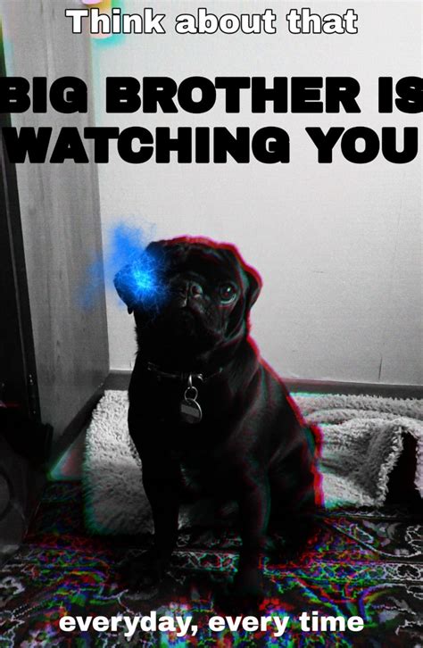 Funny Big Brother Memes Funny Random Memes 435 #Memes #Shorts 2091