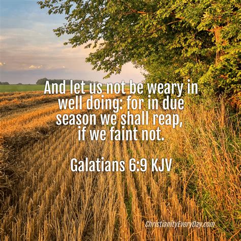 Was the Apostle Peter the rock Jesus built His church on ...