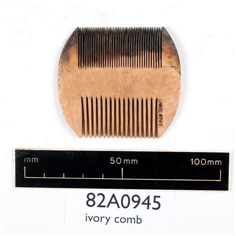 Image result for Nit Comb