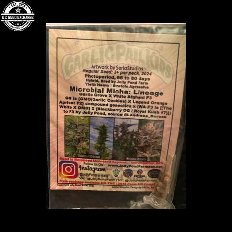 Microbial Micha (Garlic Grove X White Afghani F3) 10 Regular Seeds - DCSE