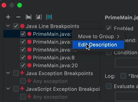 Image result for Java Breakpoints