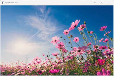 Simple Python Program to Set Background Image in HTML File 的图像结果