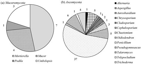 Zonal Patterns of Changes in the Taxonomic Composition of Culturable ...
