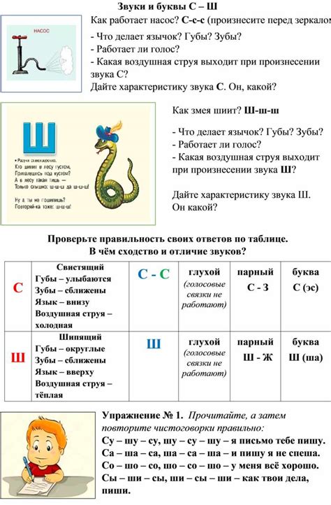 Дифференциация звуков и букв С - Ш. Дидактический материал к занятию.