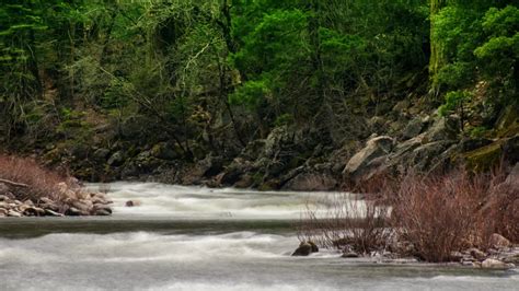 Meaning, Origin And History Of The Name Damaris - frankiepeach.com