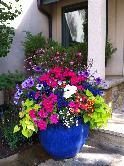 Colorful Flowers in a Large Blue Planter