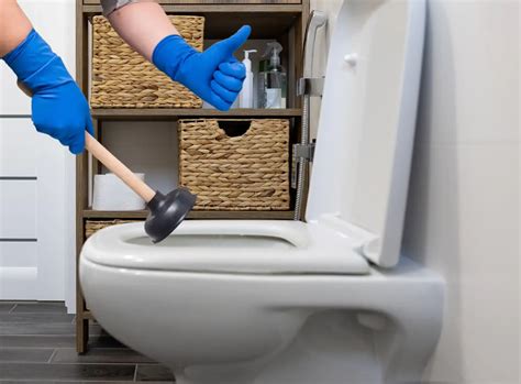 Clogged Toilet Ucsd