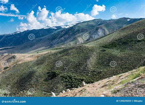 Conway Summit, Uno Scenico Trascura Nella Contea Di Mono La California ...