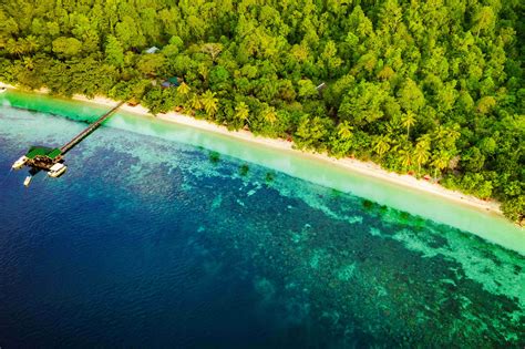 Raja Ampat und West Papua Fotosafaris und Safari-Empfehlungen - Natouralist