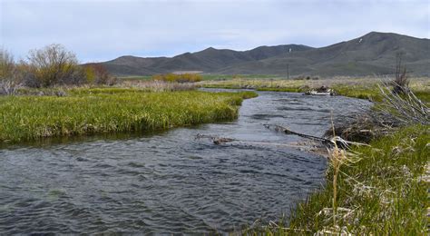 Restoration Project at Silver Creek | The Nature Conservancy