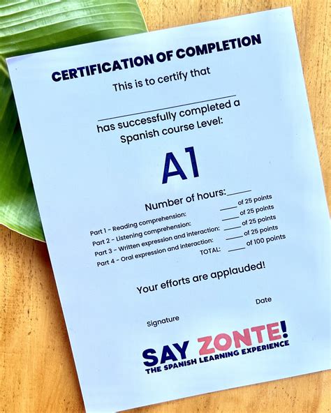 THE SAY ZONTE!-SPANISH EXAMS | BOOST YOUR SPANISH!