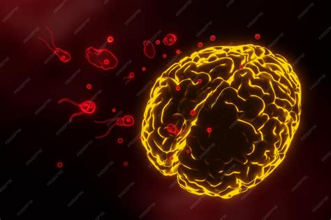 Premium Photo | Braineating amoeba infection naegleriasis flagellate forms 3d render