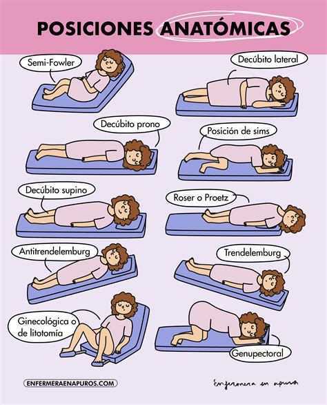 Tipos De Posiciones De Cama Para Pacientes. Posiciones Para Estancias