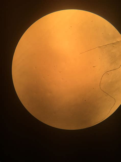 Image result for Testing Air Particulates