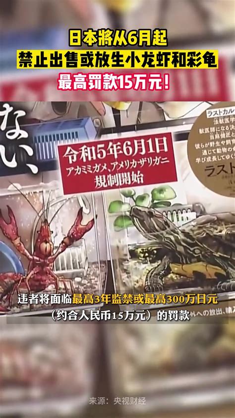 突发！日本立法禁售小龙虾！_生物_耳龟_新华社