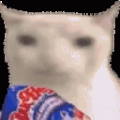 Cute Things Exploding Cat 的图像结果