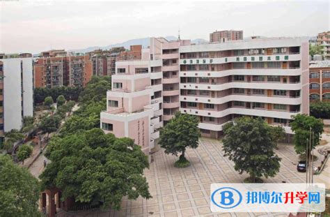 广州第二外国语学校2023年入学考试