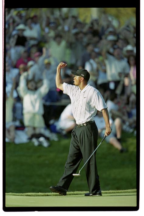 Tiger Woods Putting Wallpaper