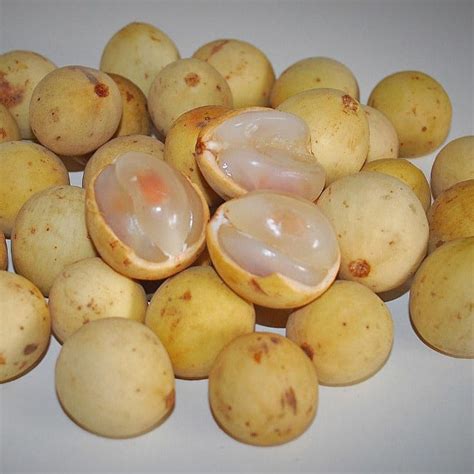 Langsat Fruit Plants (Lansium Parasiticum) – veliyathgardens