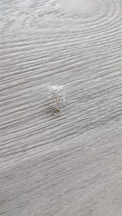 Replace one board of laminate? : r/Flooring