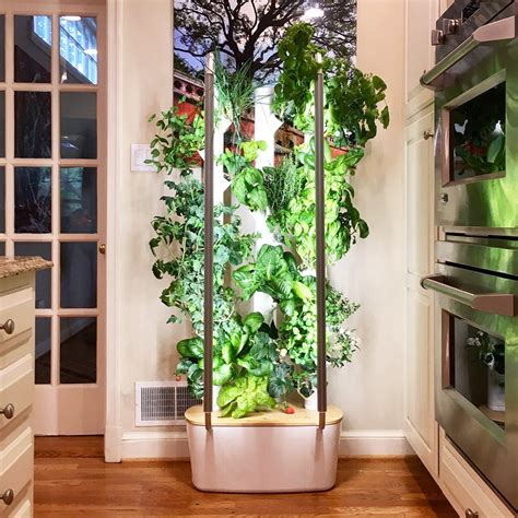 Hydroponic Planters: Revolutionize Your Indoor Garden - Gardyn