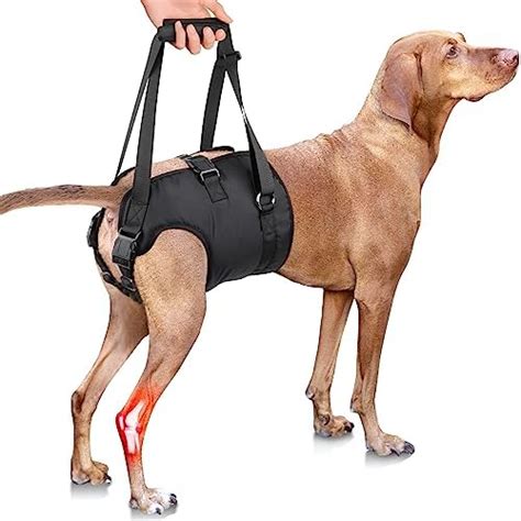 PZRLit Dog Lift Harness - Adjustable Sling Support for Large Dogs Hind ...