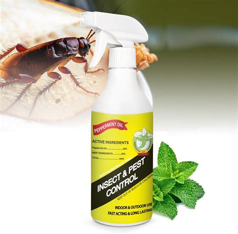 Amazon.com: 16 oz Peppermint Oil Insect & Pest Spray, Natural Plant ...
