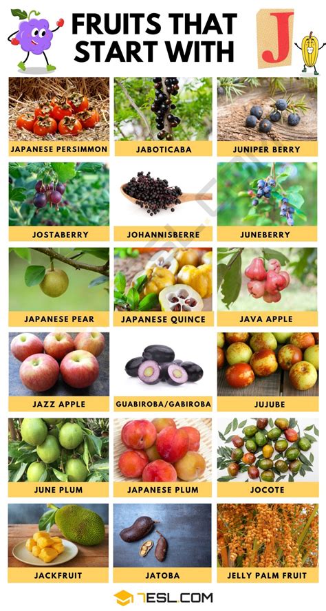 Fruits That Start With J Every Year, We Receive Lots Of Comments About