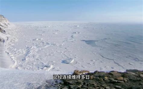 南极——我心中的那片净土（一） --天台新闻网