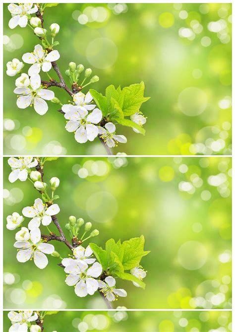 春暖花开绿色梦幻光斑ppt背景图片 - 小白办公