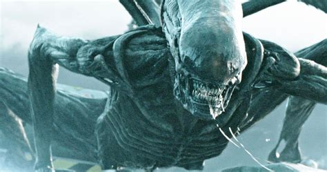 Alien Covenant Xenomorph 的图像结果