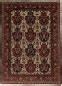 Perserteppich Bakhtiar rot (210x300cm)