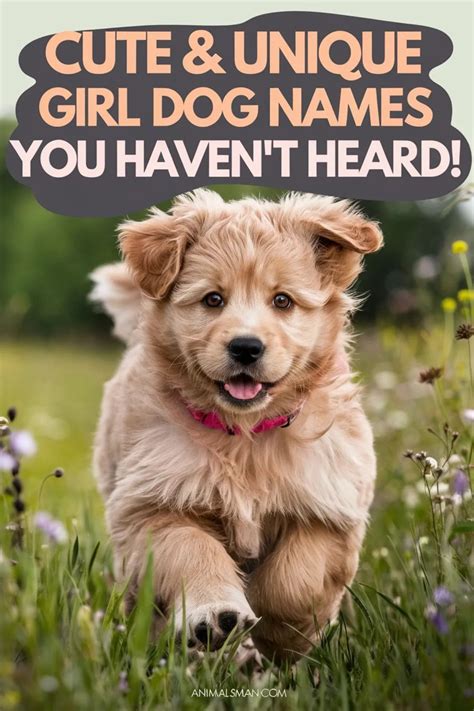 Cute & Unique Girl Dog Names You Haven't Heard! | Girl dog names ...