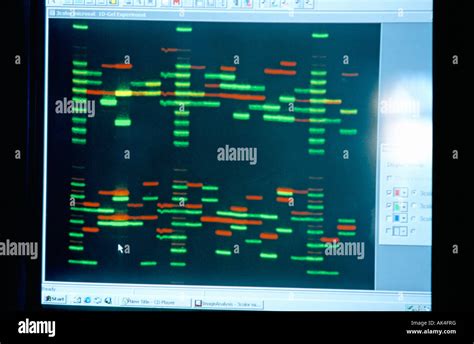Image result for What Is DNA Analysis