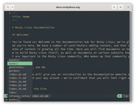Using NvChad - Documentation