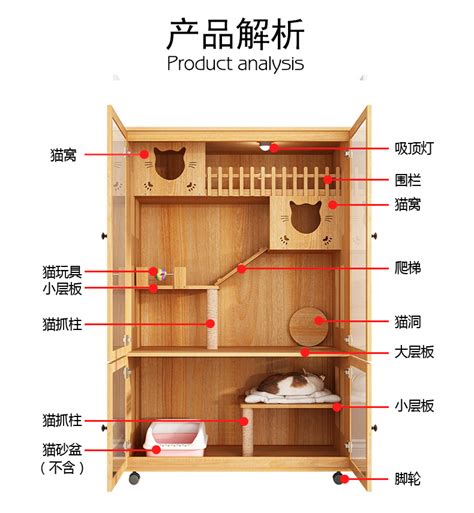 这个现代化的公寓有一个悬浮玻璃小屋，这是猫爱好者和他们的宠物的最爱！ - 普象网