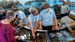 Arrest Logs | lompocrecord.com