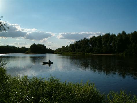 Image result for Alien River Bug