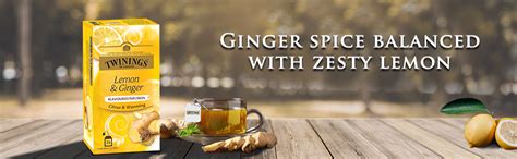 Twinings Lemon and Ginger Tea, 25 Tea Bags : Amazon.in: Grocery ...